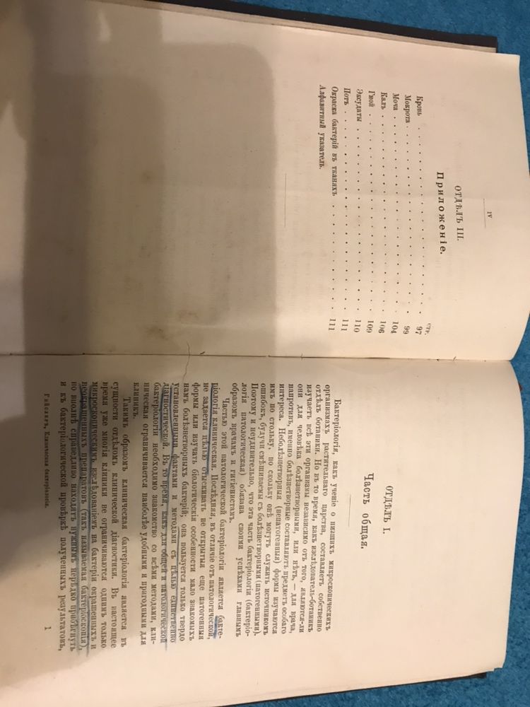 Краткий курс клинической бактериалогии Гейслера Ф.К. 1893 г.и