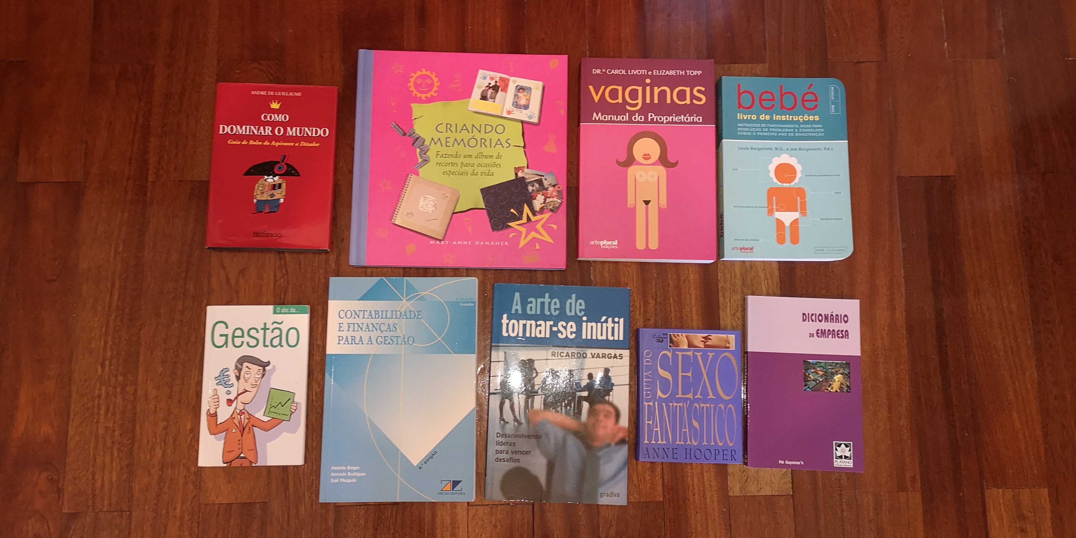 Vários livros gestão /contabilidade /bebé /outros