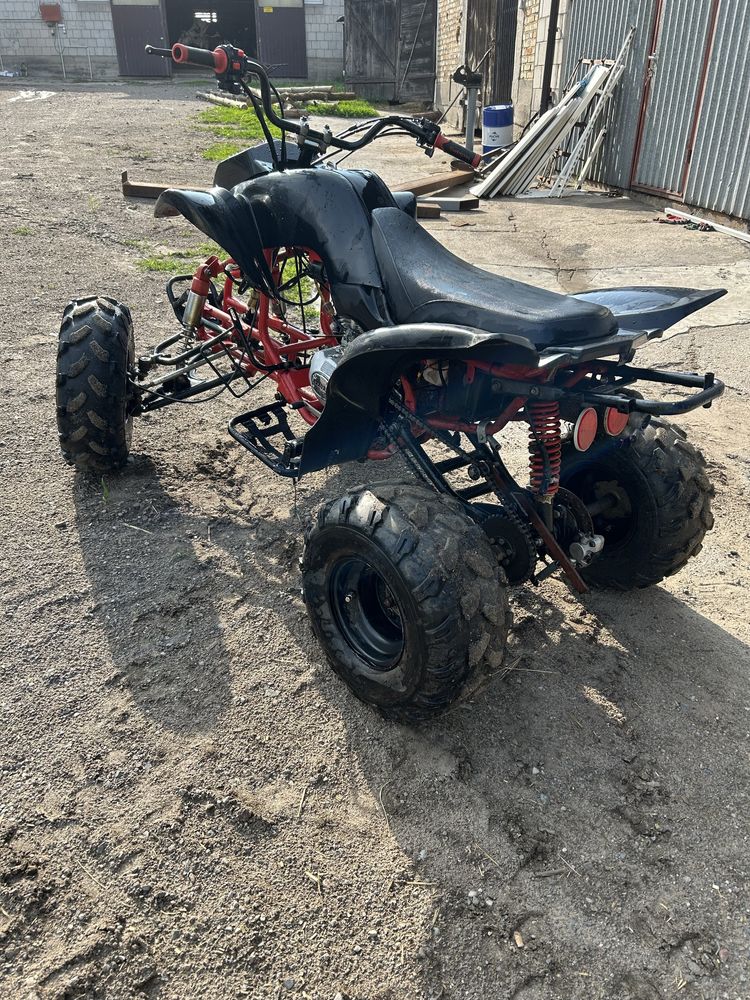 Quad bashan  250
