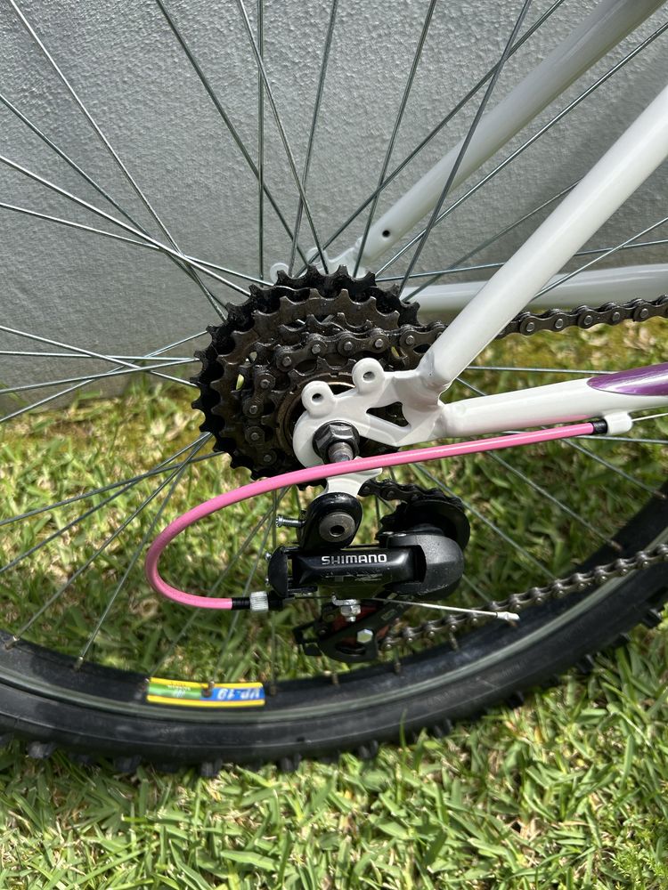 Bicicleta montanha