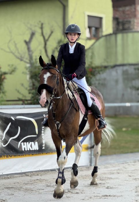 Wspóldzierzawa konia - wicher