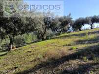 Terreno com vistas deslumbrantes