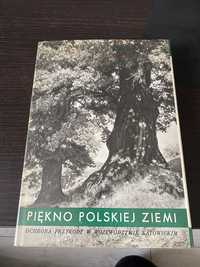 Piękno polskiej ziemi ochrona przyrody w województwie katowickim