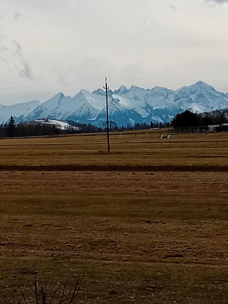 Domki u Feliksa Gronków