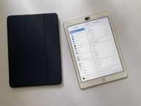 Apple Ipad Air 2 Gold
