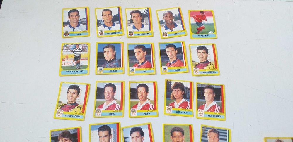 Panini 95/96                        .