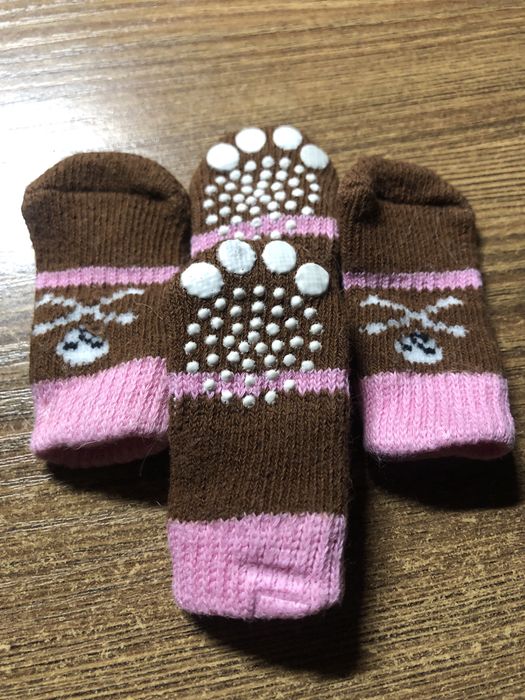 Одежда для собак