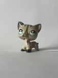 Lps shorthair pół custom