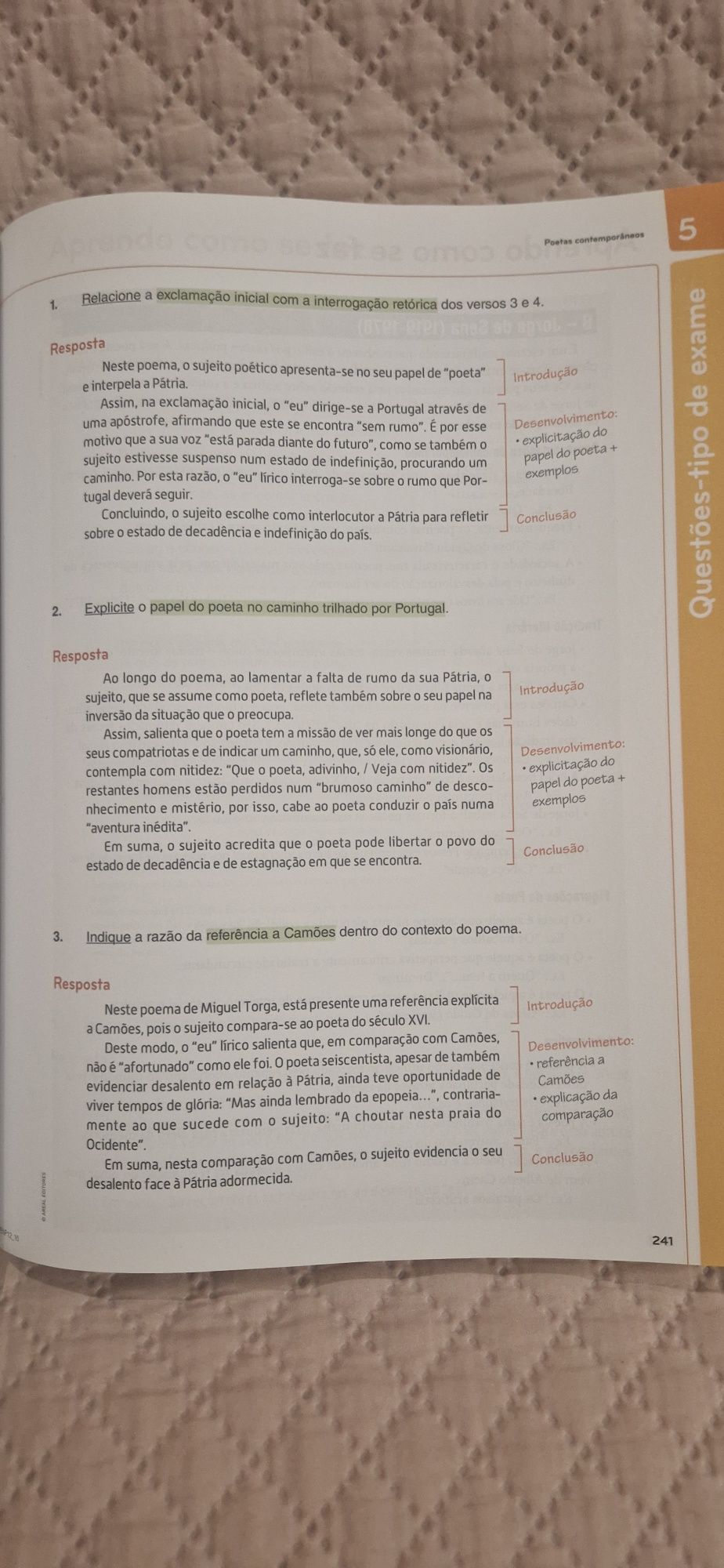 Preparar o exame nacional 12,  Português