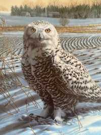 Sowa Talerz porcelanowy Knowles Sowa The Snowy Owl