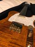 Suhr Classic T Deluxe - Bengal