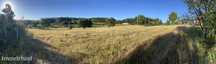 Propriedade Rústica Isolada / Secluded Rustic Estate with Nature