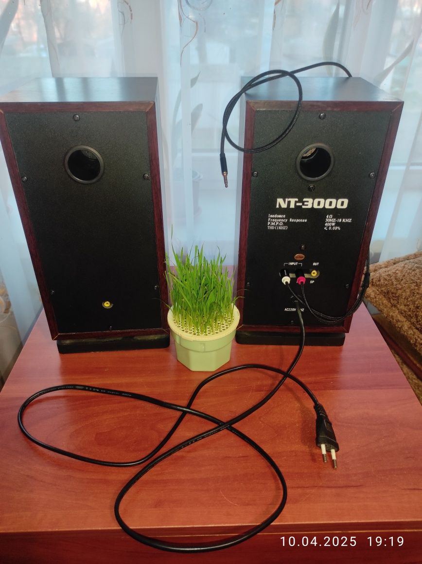 Активні колонки NewTone NT-3000