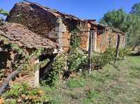 Quinta / Fundão, Enxames