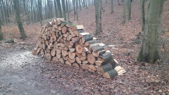 Twarde drewno opałowe