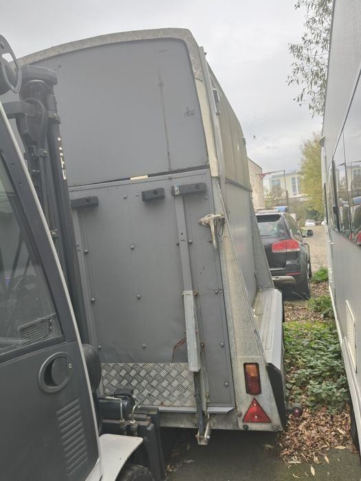 Przyczepa do przewozu koni westfalia