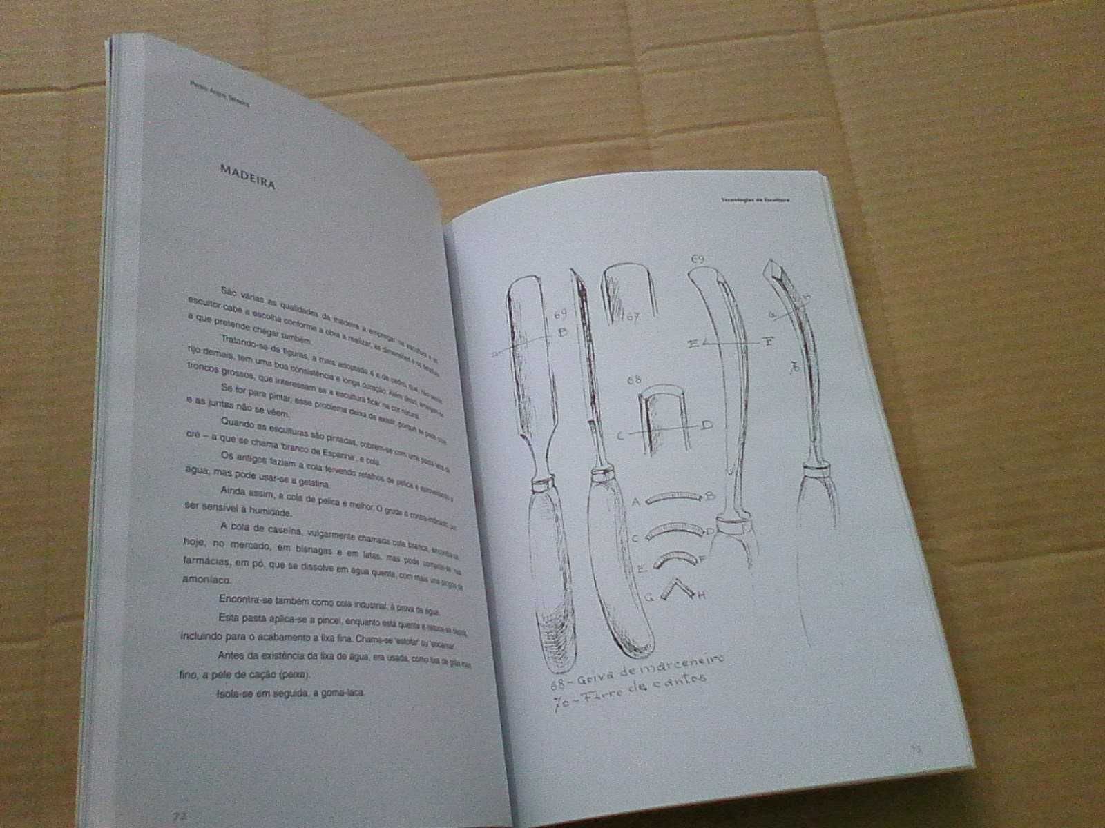 Tecnologias Da Escultura
