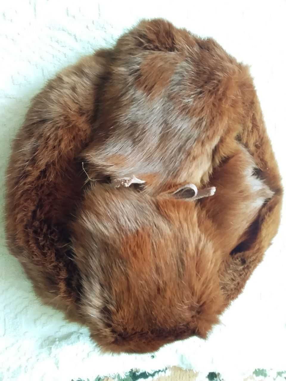 Меховые шапки, кролик