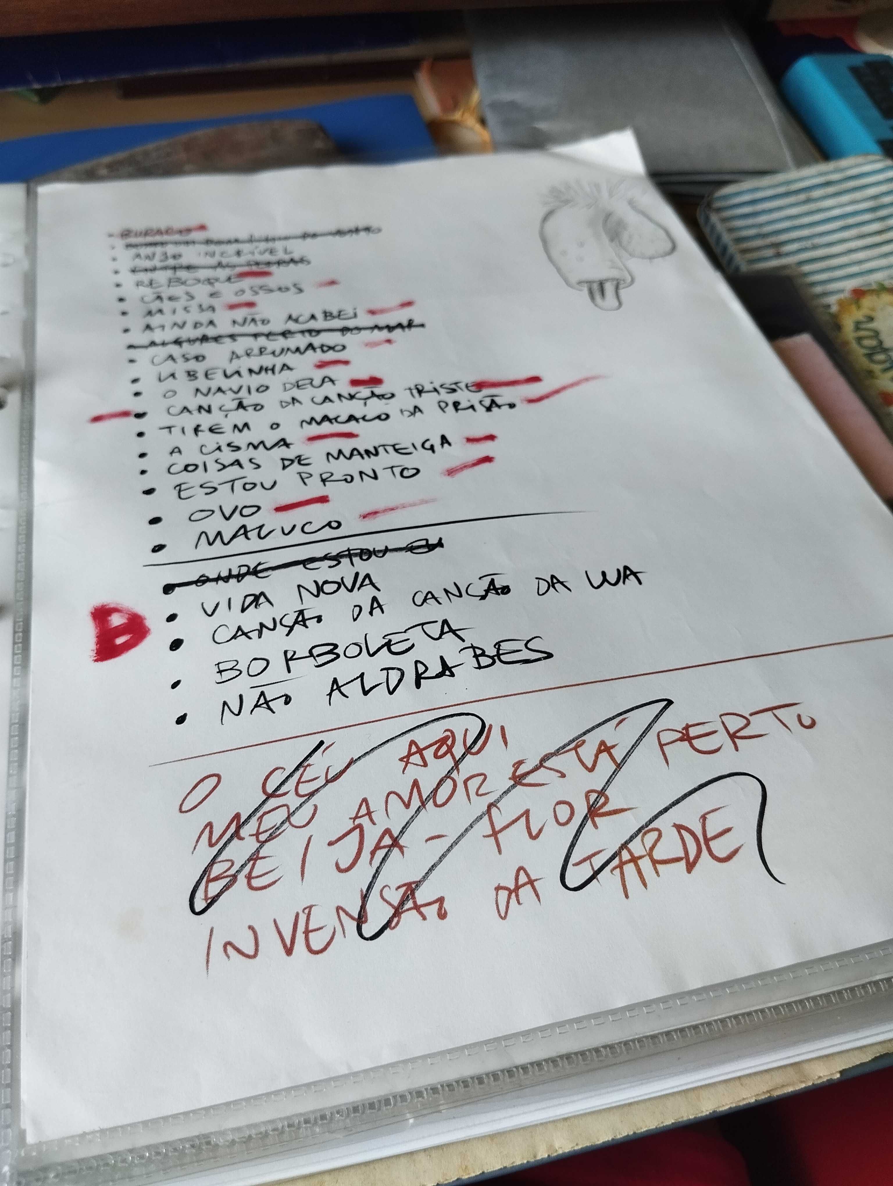Setlist com ilustração Manuel Cruz - Ornatos Violeta