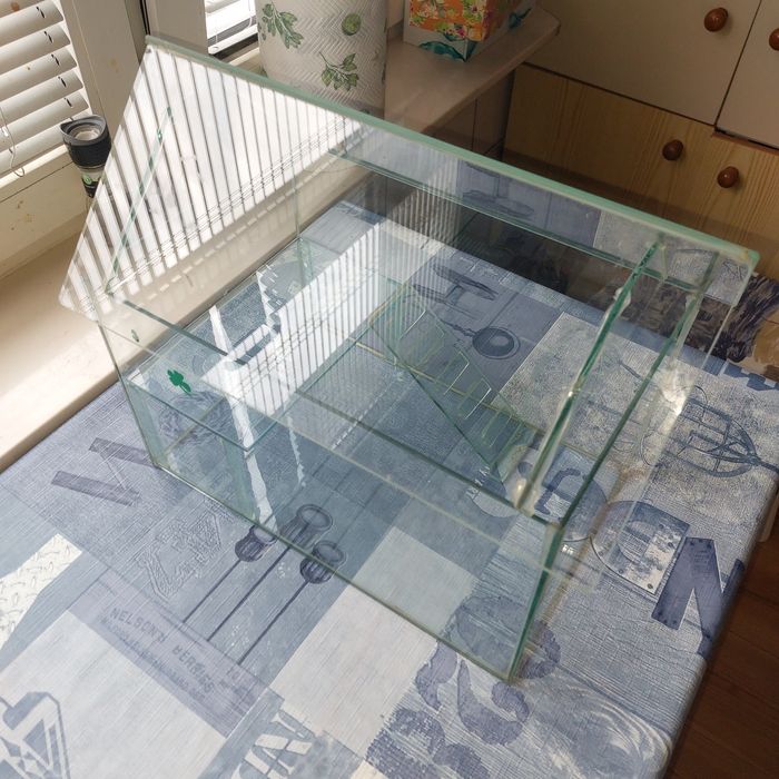 Terrarium szklane z daszkiem