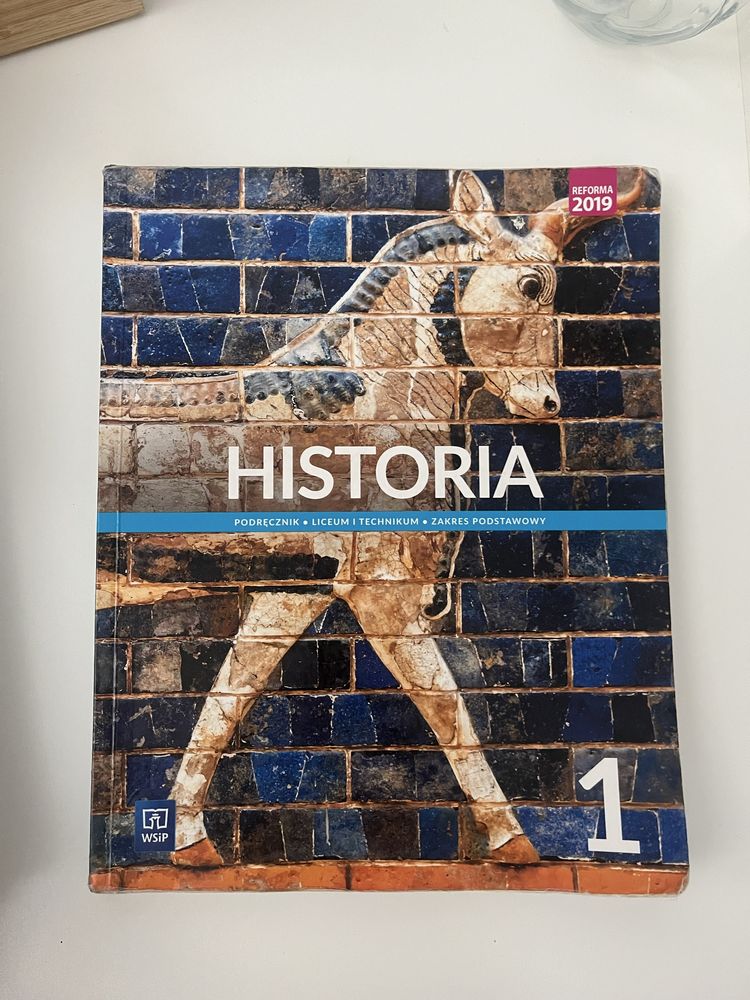 historia 1 wsip