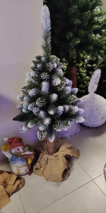 Choinki na pniu i tradycyjne