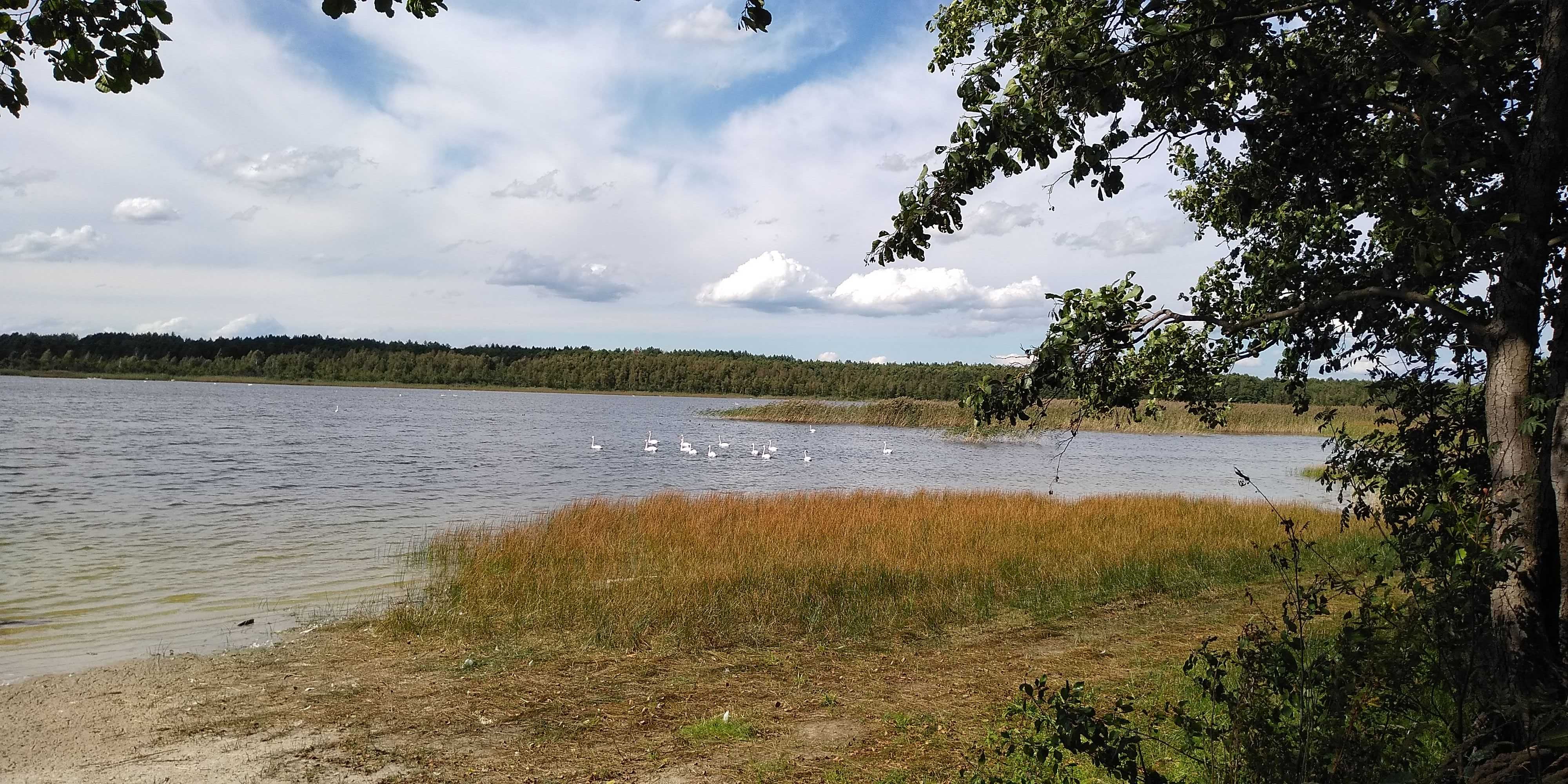 ділянка під забудову