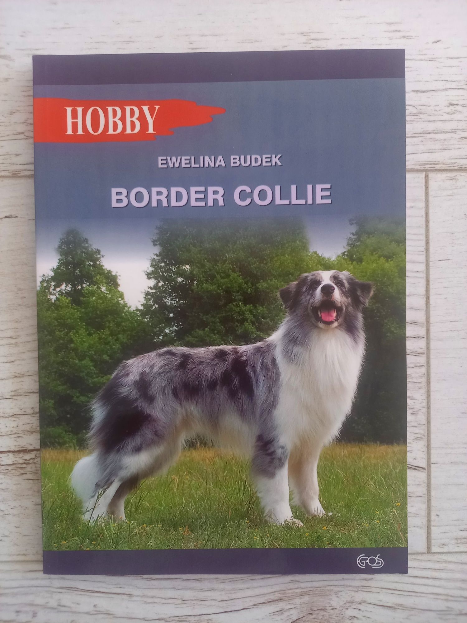 Książka "Border Collie" Ewelina Budek