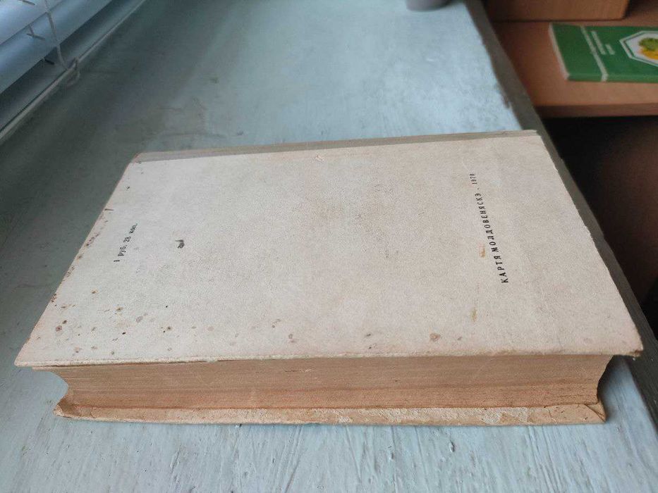 Достоевский - Униженные и оскорбленные. Идиот