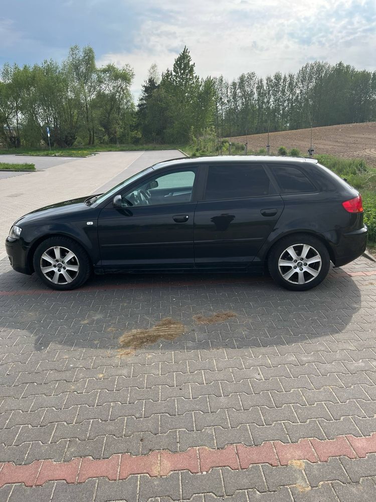 AUDI a3 8p 2007 1,9tdi