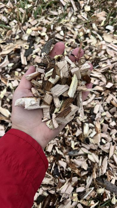 Щепоріз. Послуги подрібнення гілок