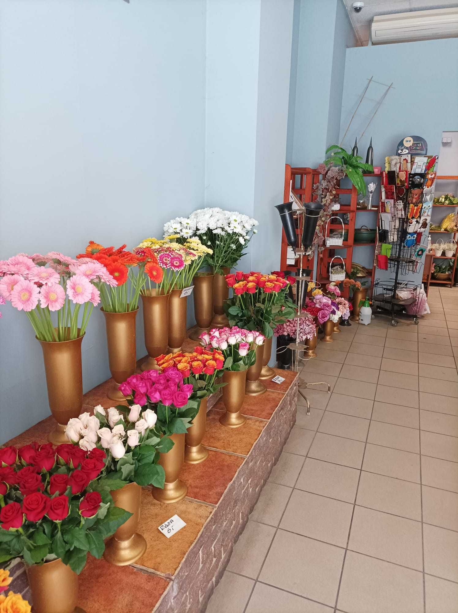 Sprzedam wyposażenie kwiaciarni z możliwością przejęcia lokalu - Bytom