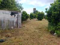 Limpeza de terrenos. Rápido e eficaz