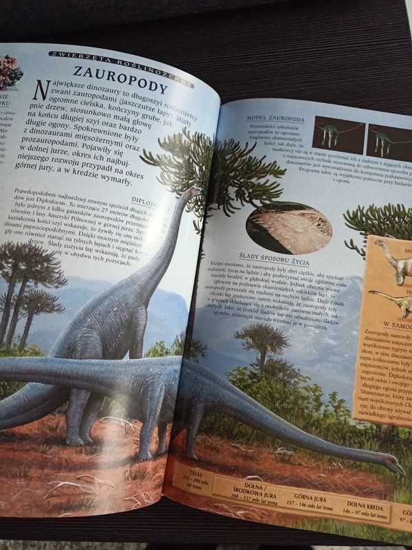 Książka album wielka księga dinozaurów