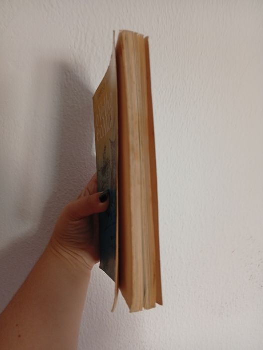 Livro, O Velho e o Mar