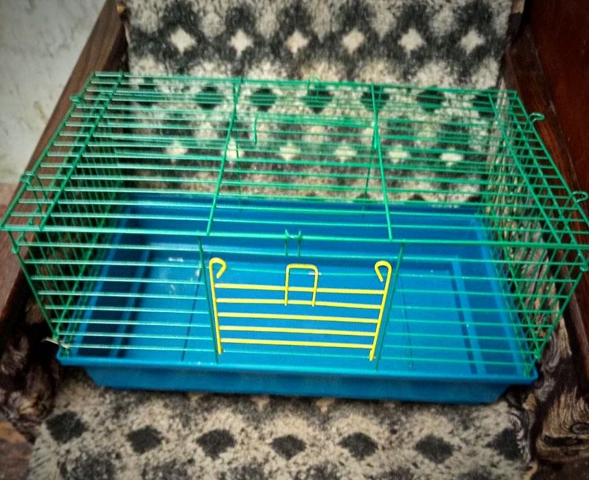 Клітка для гризунів