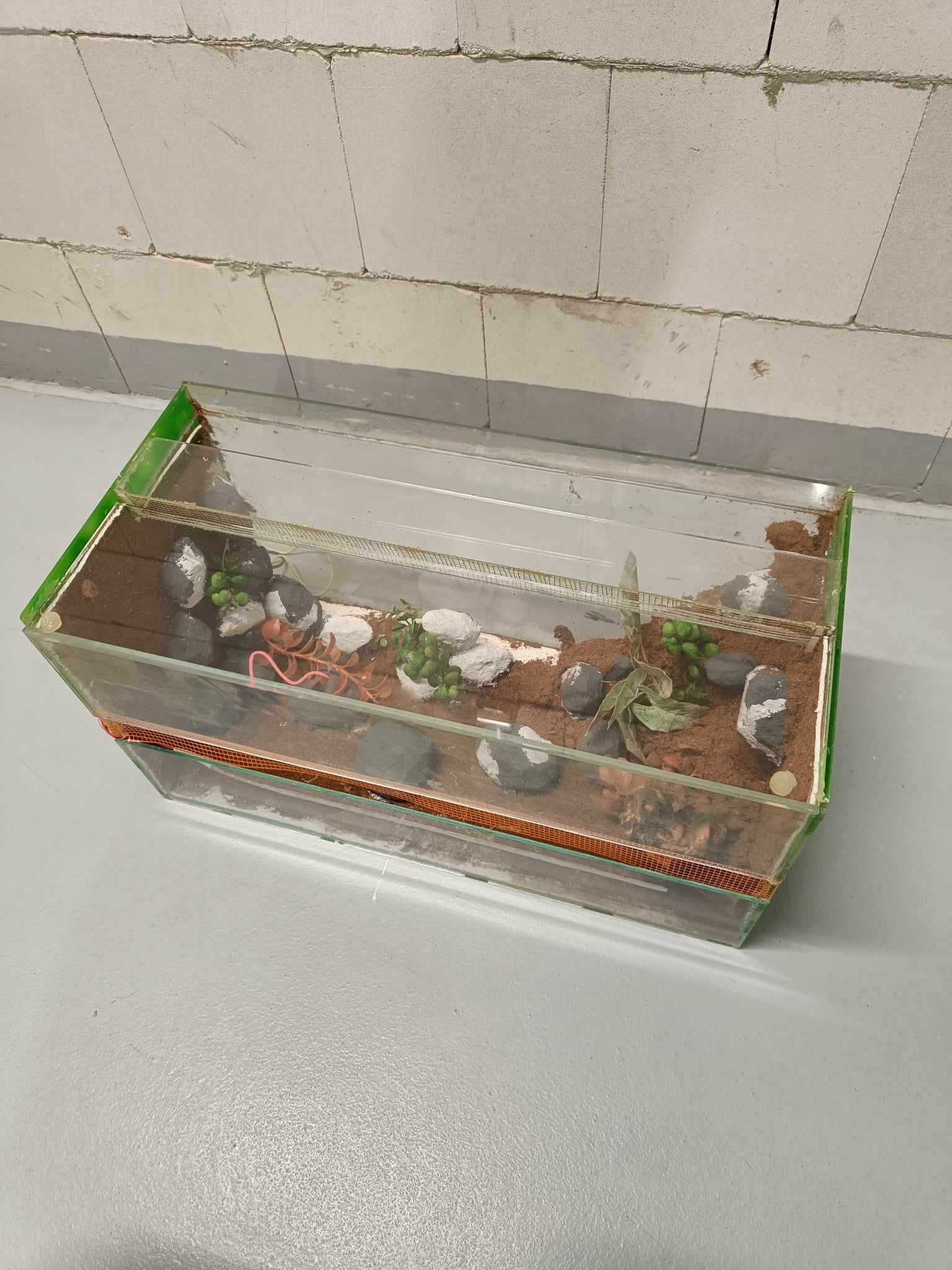 Terrarium samoróbka