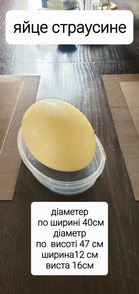 Настільний Марміт з мраморною плитою та  страусине яйце