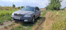 Skoda octavia a5 2.0 автомат