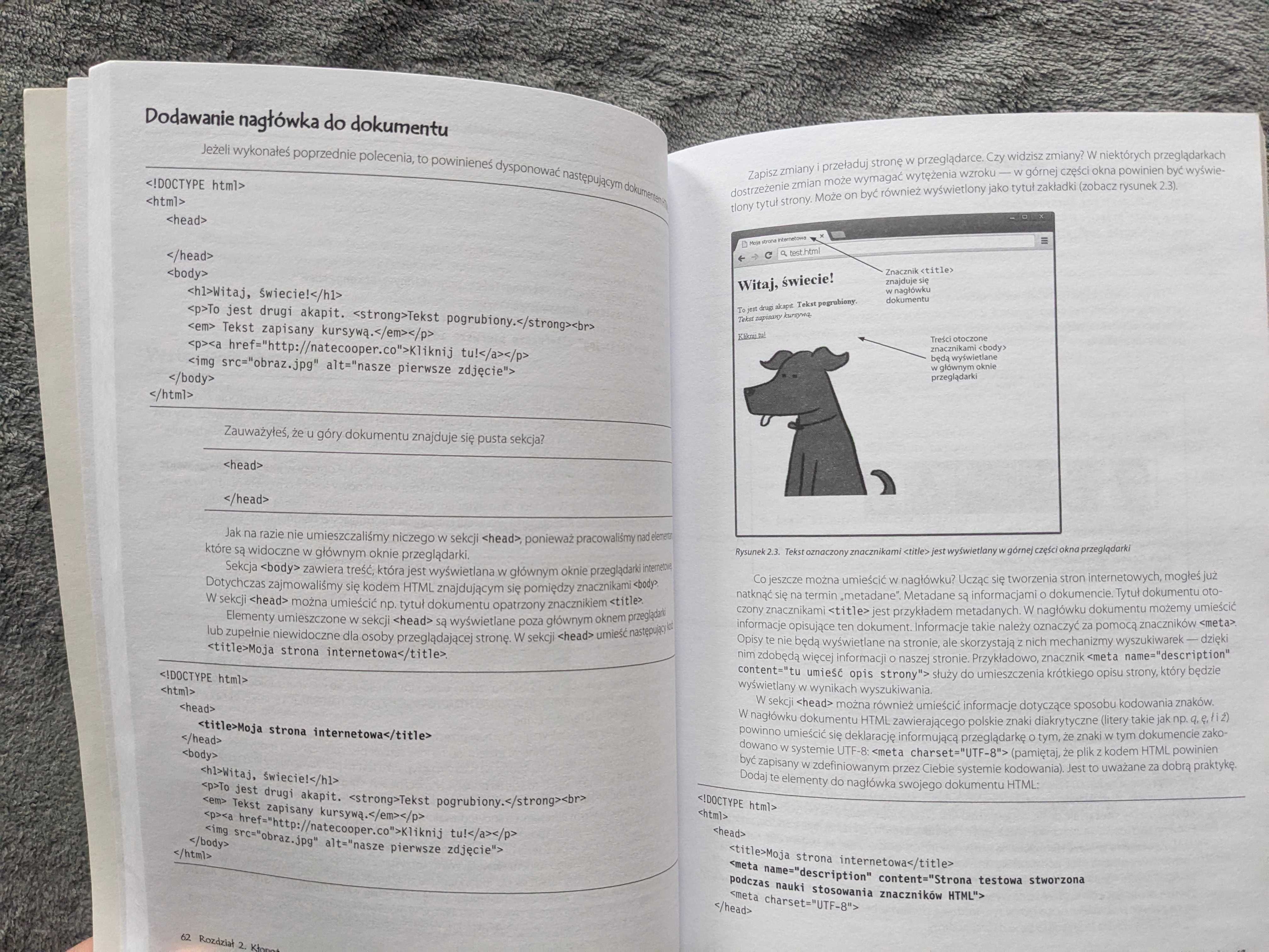 Stwórz swoją własną stronę www Komiksowy kurs HTML-a, CSS-a i Wordpres