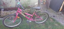 Rower Grand 24 cali.