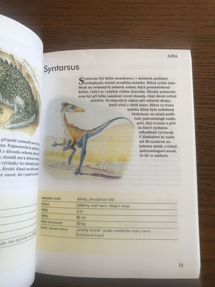 Dinozaury 300 rodzajów