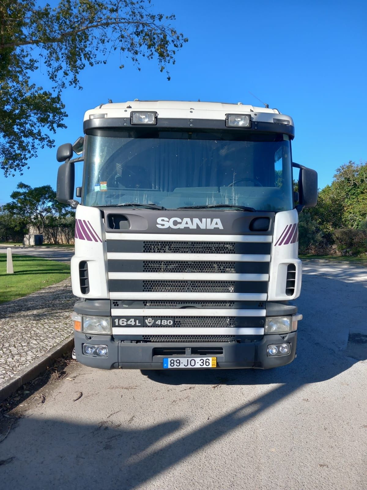 Scania 164 V8 480