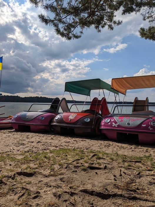Катамаран Carbus жук