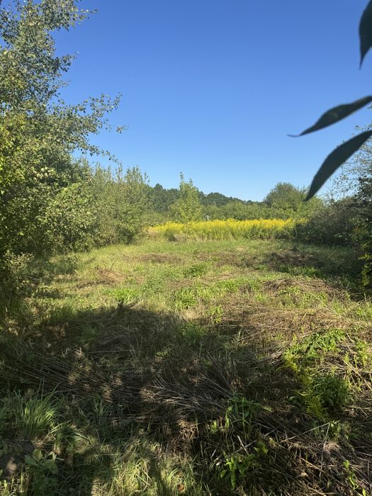 Дачна ділянка з недобудованим будинком у Микитинцях
