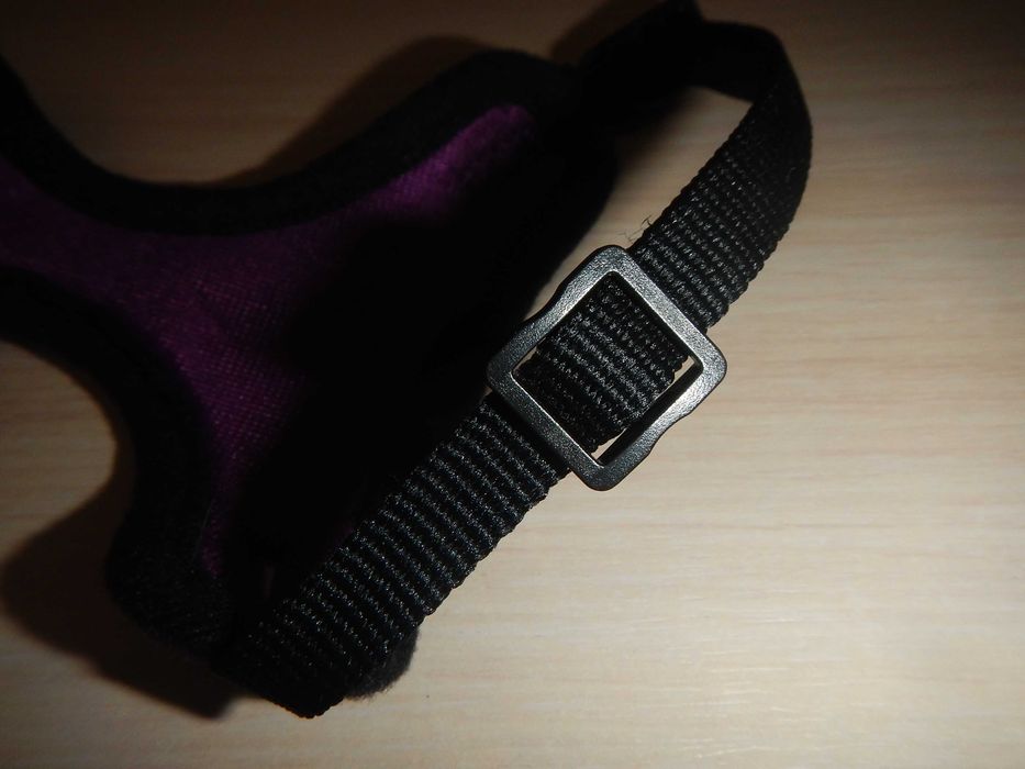 Шлея для кота pets