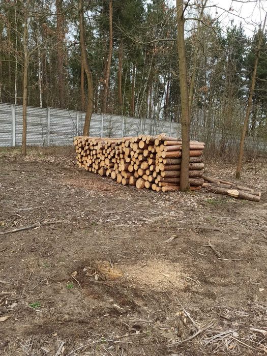 Drewno Kominkowe / Opałowe OLCHA , OWOCOWE pocięte / połupane do pieca