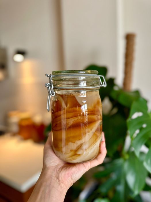 Grzybek do kombuchy scoby dwie sztuki zestaw