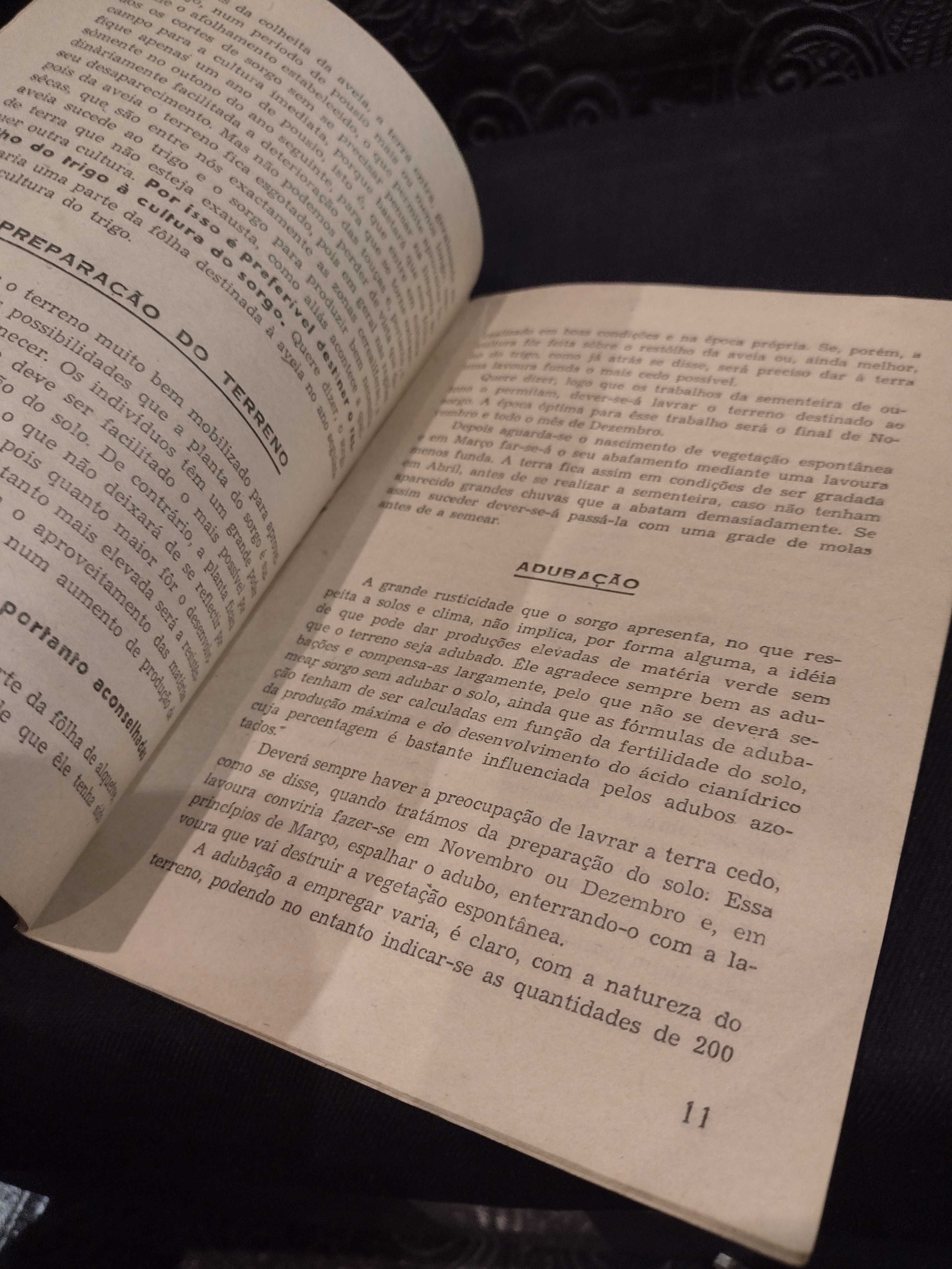 O Sorgo Forragem das Regiões Sêcas 1944