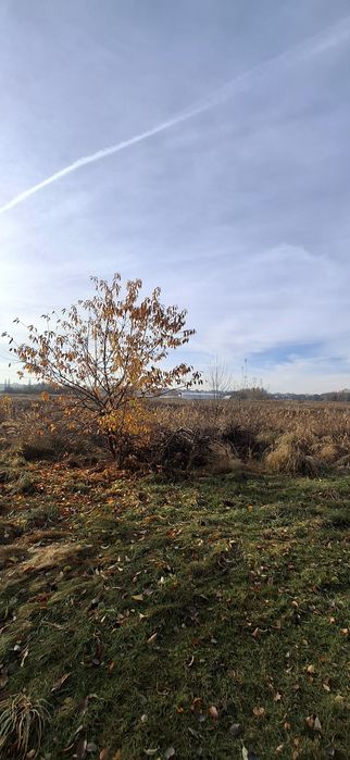 Działka rolna 0,2219 ha Sączów.  Śląskie